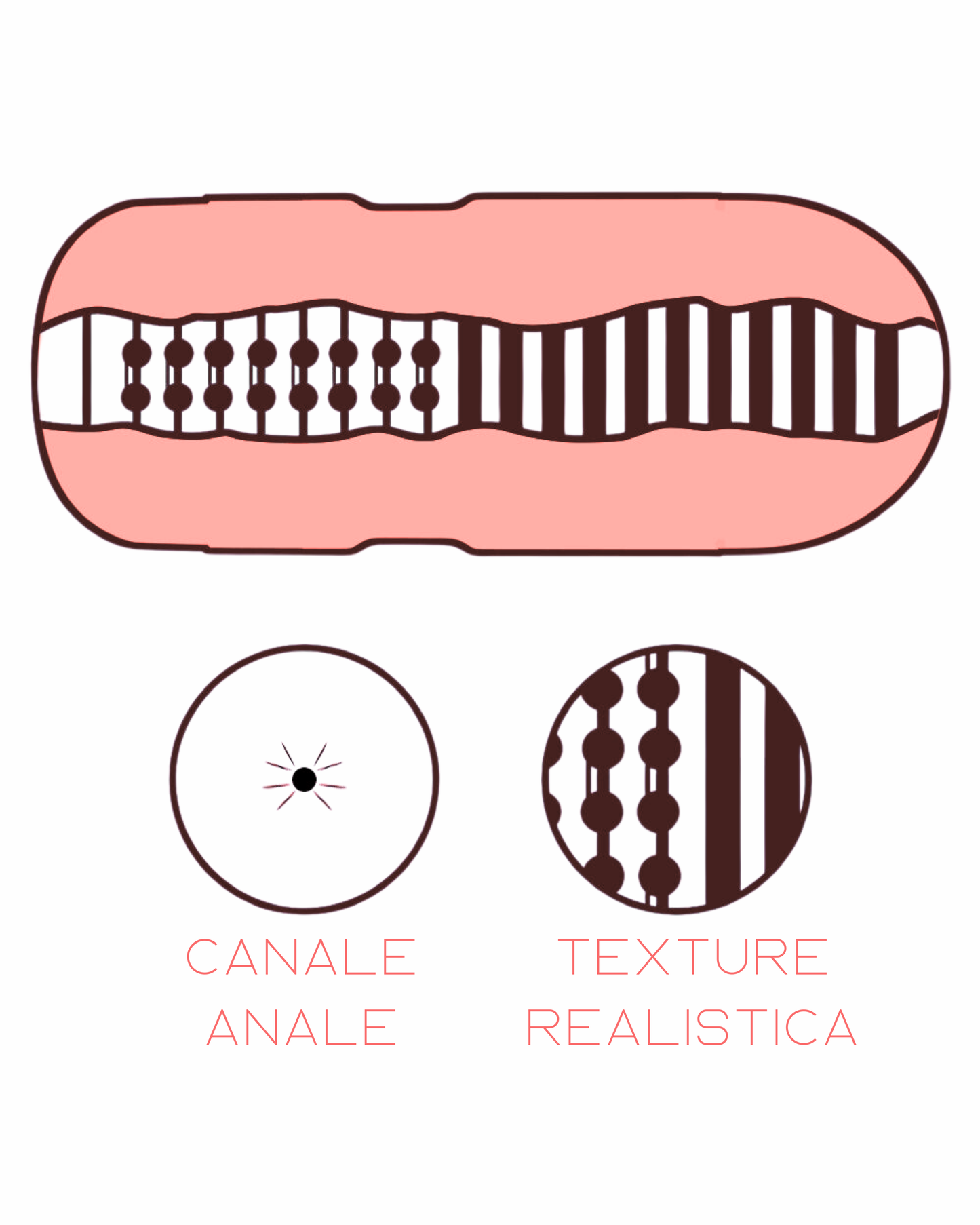 Sexy Anus